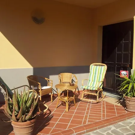 Bed & Breakfast Tower's Garden Pisa